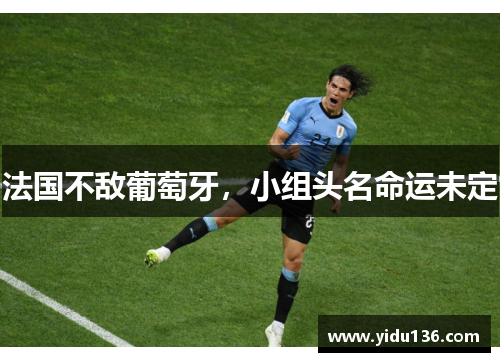 法国不敌葡萄牙，小组头名命运未定