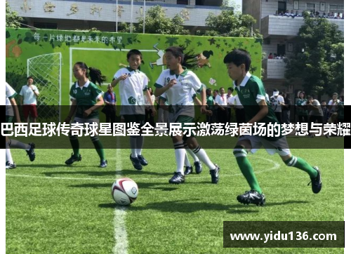 巴西足球传奇球星图鉴全景展示激荡绿茵场的梦想与荣耀
